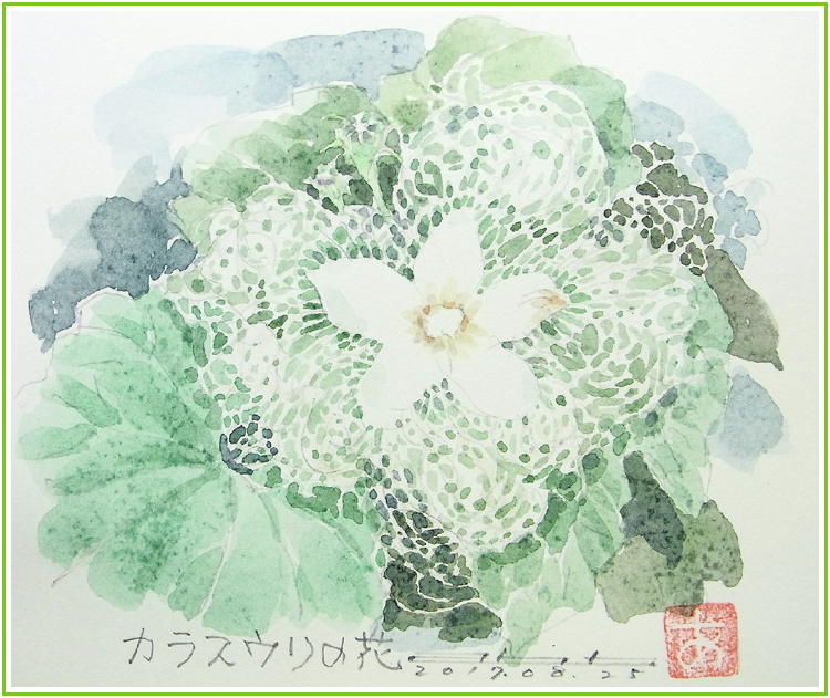 カラスウリ 水彩画 原画