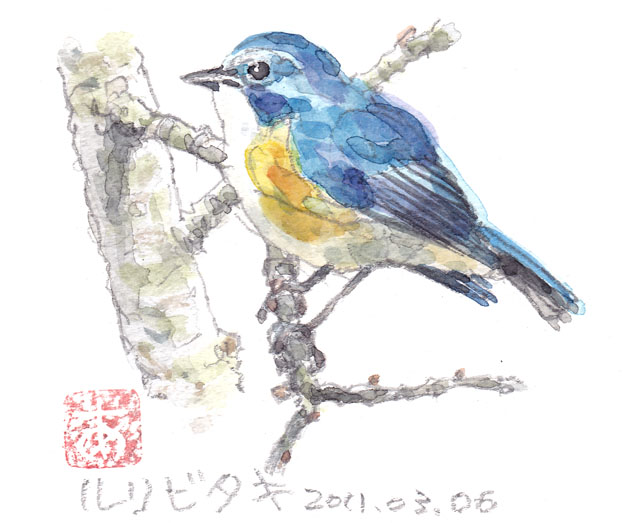 鳥アクリル画イラスト風絵画 幸福の青い鳥 ルリビタキ ココ様おまとめ 